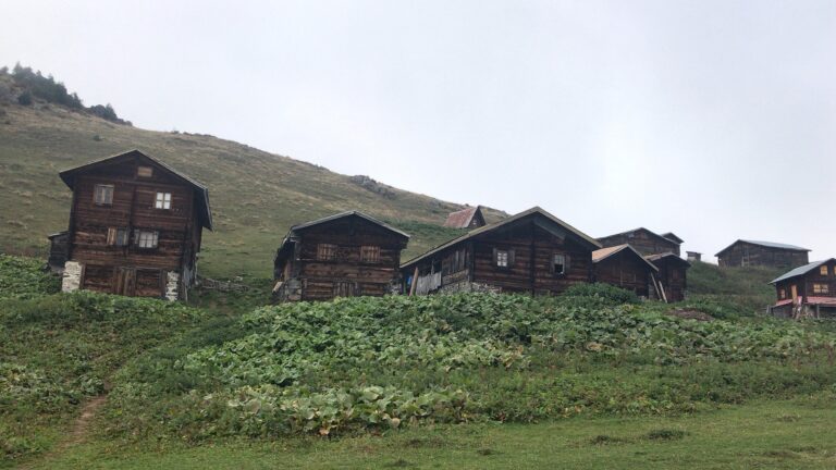 Rize Sal Yaylası’nda sisli havada yayla evleri ve Karadeniz doğası manzarası