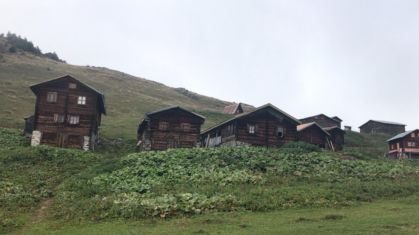Rize Sal Yaylası’nda sisli havada yayla evleri ve Karadeniz doğası manzarası