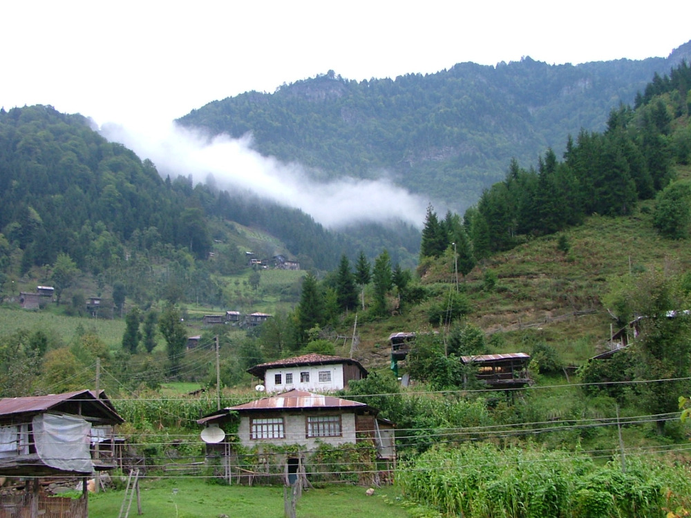Macarhel (Camili) köyünde sisli ormanlar ve ahşap evlerle çevrili doğa manzarası, Artvin'in doğal güzellikleri.